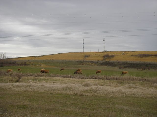 P4022837.JPG