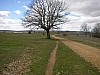 P3262730.JPG