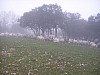 P3272736.JPG