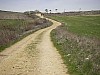 P3282763.JPG