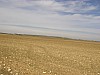 P3282764.JPG