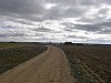 P3292781.JPG