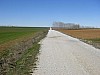 P3312809.JPG
