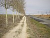P4012826.JPG