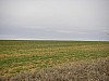 P4012827.JPG