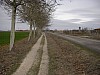 P4012829.JPG