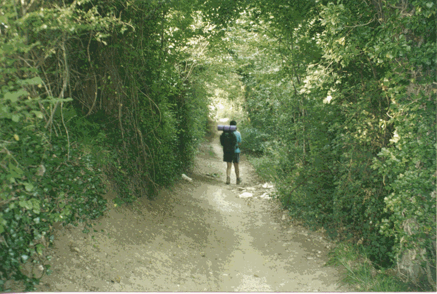 Camino Trinidad de Arre