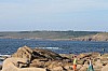IMG_0090.JPG IMG_0090.JPG