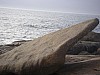P8160636_1.JPG P8160636_1.JPG