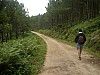 P8161397.JPG P8161397.JPG