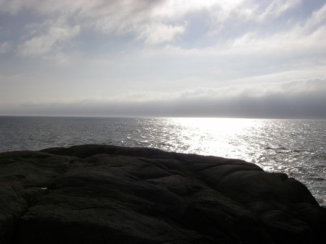 P8160637_1.JPG