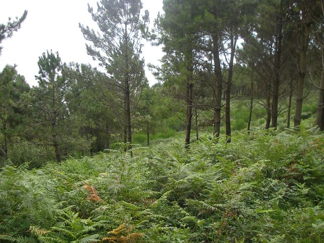 P8161399.JPG