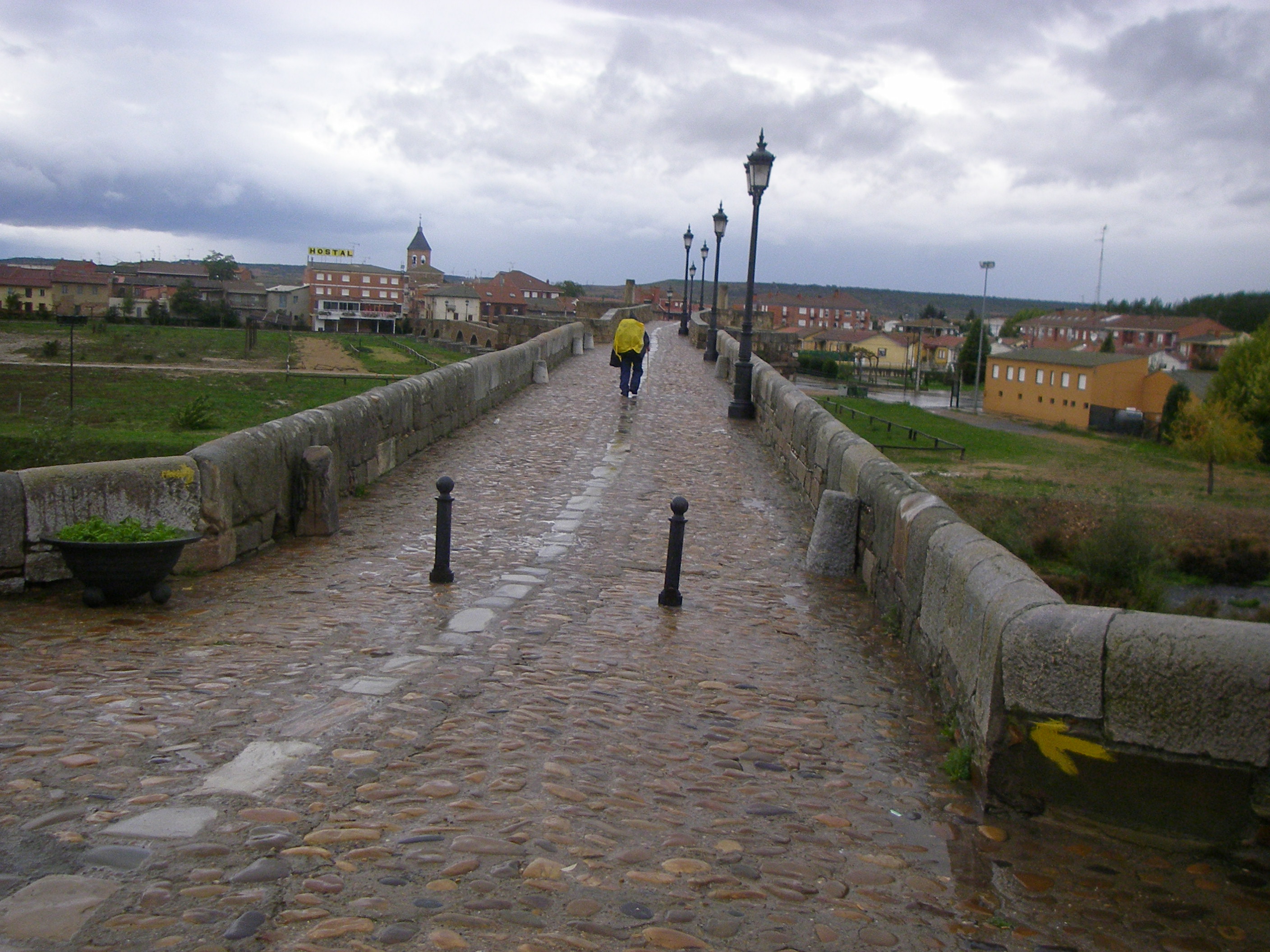 Puente de Paso Honroso 2006