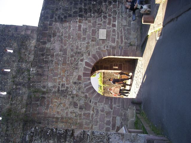 P4082348.JPG