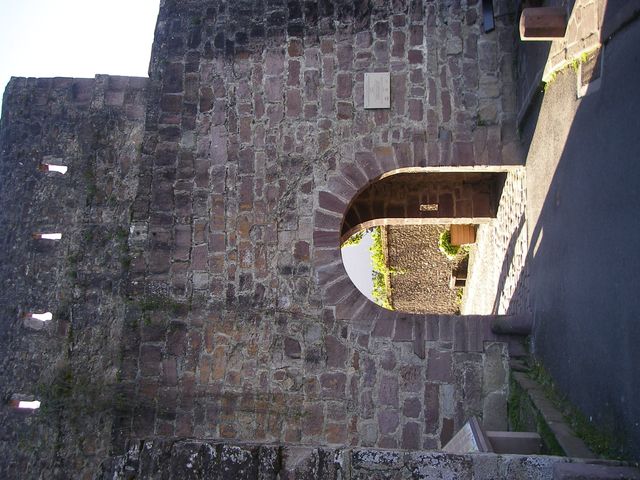 P4082349.JPG