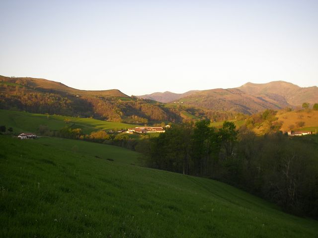 P4092365.JPG