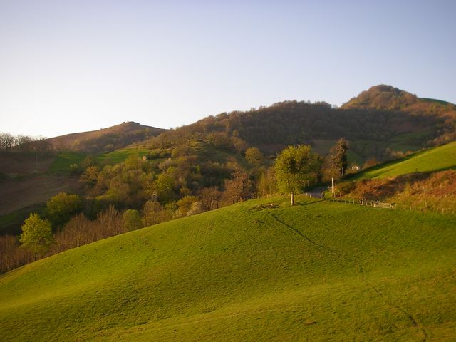 P4092371.JPG