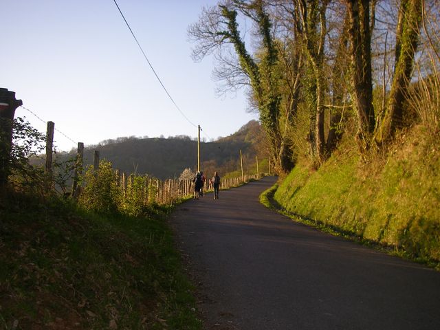 P4092373.JPG