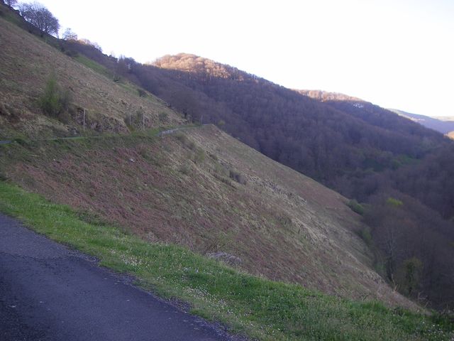 P4092376.JPG