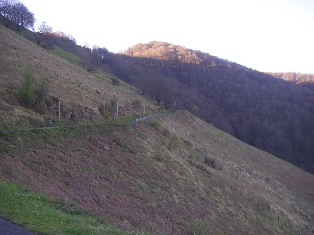 P4092377.JPG