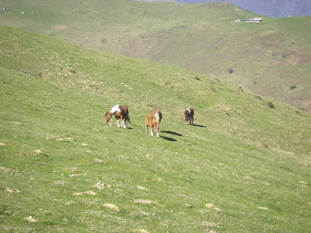 P4092387.JPG