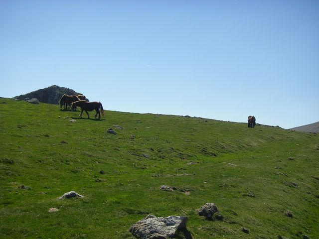 P4092391.JPG
