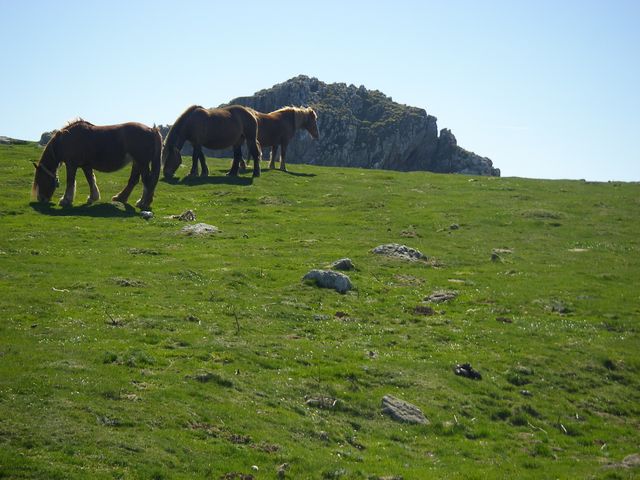 P4092392.JPG