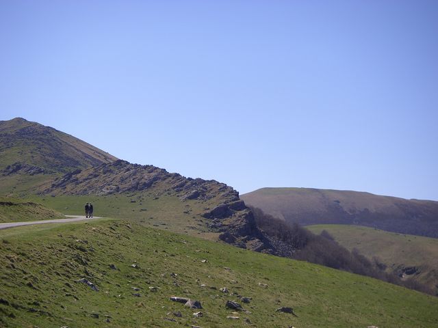 P4092394.JPG
