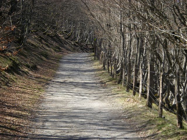 P4092400.JPG