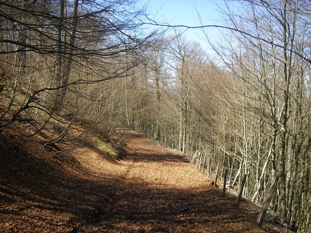 P4092402.JPG