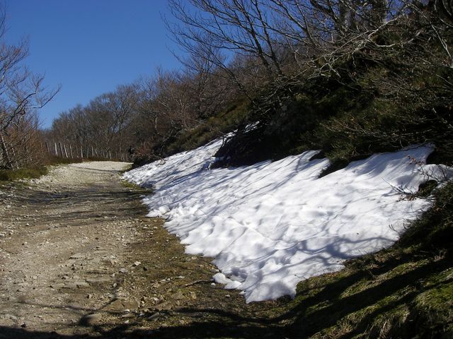 P4092405.JPG