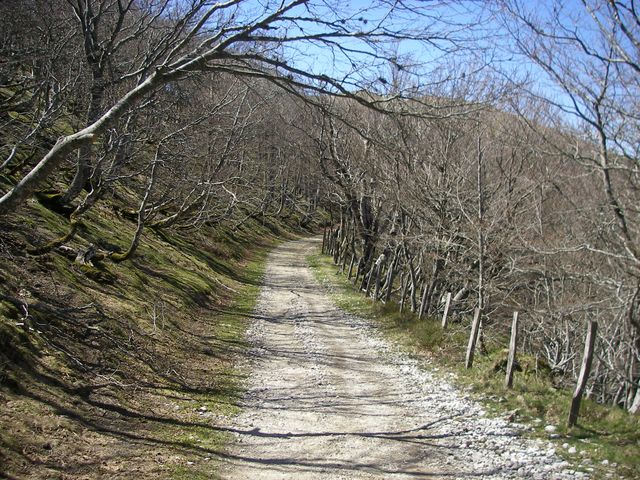 P4092406.JPG