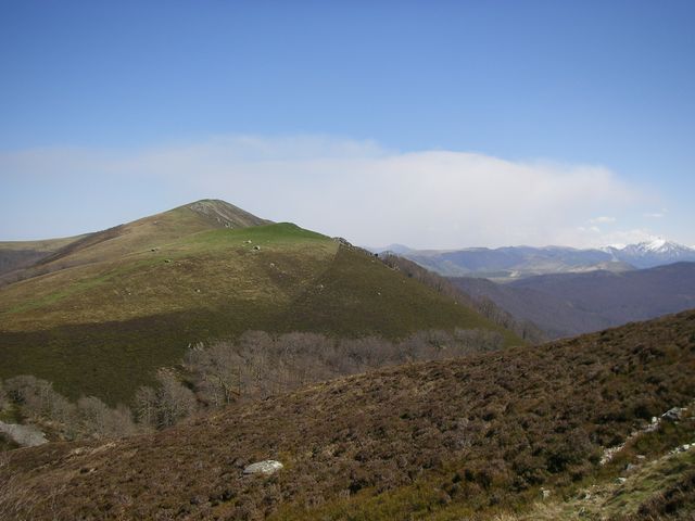 P4092408.JPG