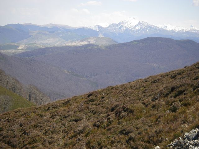 P4092410.JPG