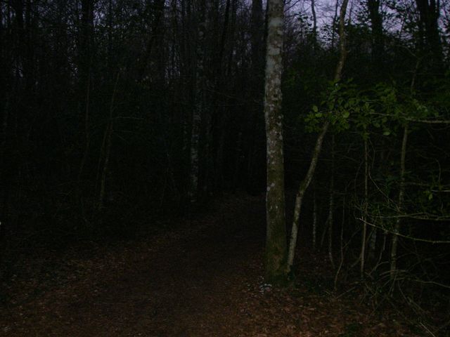 P4102424.JPG