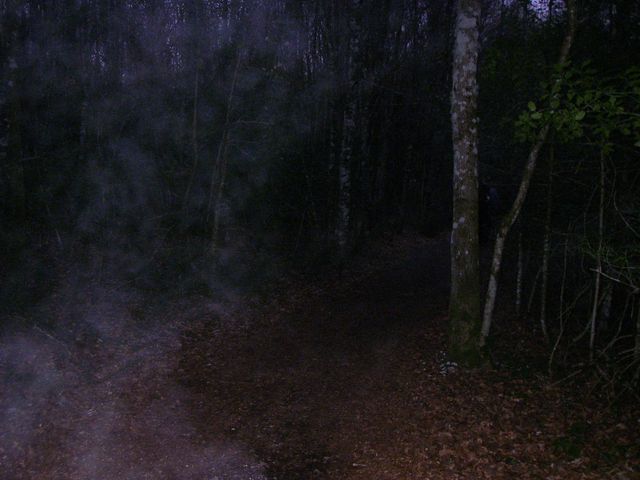 P4102425.JPG
