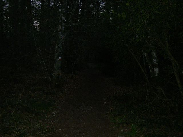 P4102426.JPG