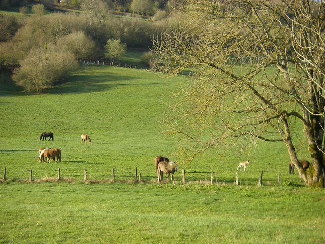 P4102433.JPG