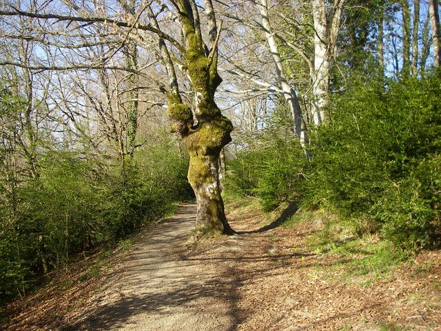P4102437.JPG