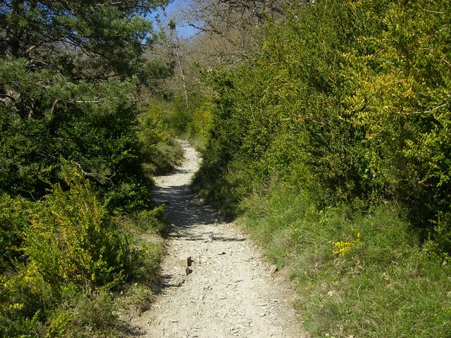 P4102440.JPG