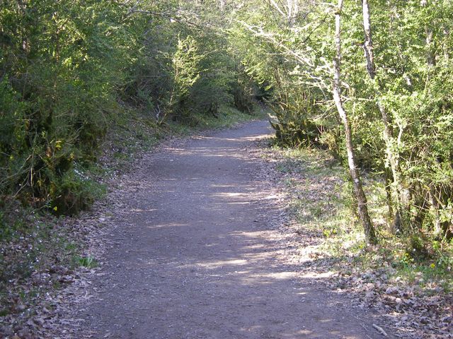 P4102442.JPG