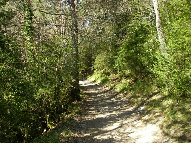 P4102443.JPG