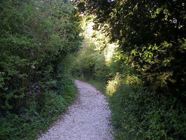 P4112458.JPG