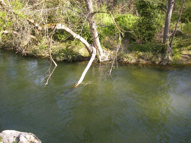 P4112461.JPG