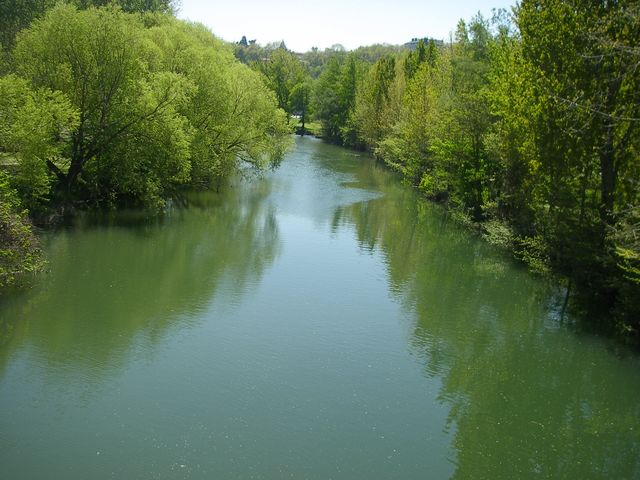 P4112478.JPG