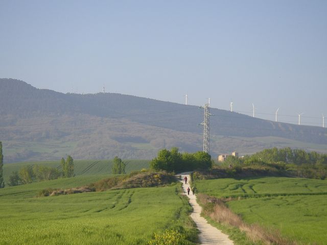 P4122496.JPG