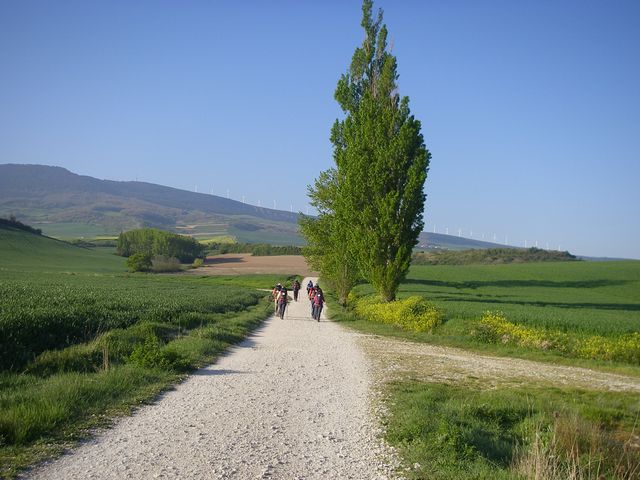 P4122497.JPG