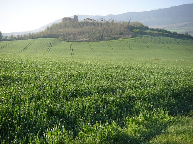 P4122498.JPG