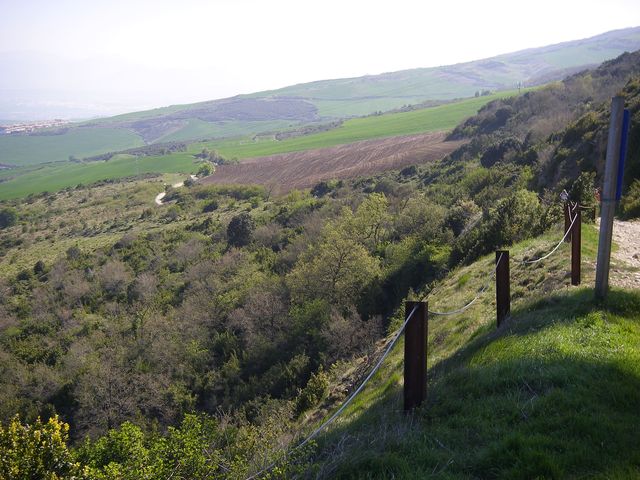 P4122499.JPG