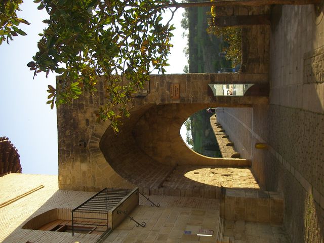 P4122510.JPG